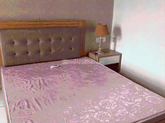 1 BHK Apartment in Sector 137 for rent Noida. The reference number is 19044376