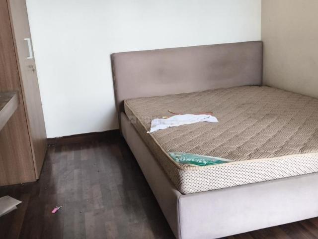 1 BHK Apartment in Sector 137 for rent Noida. The reference number is 19873741