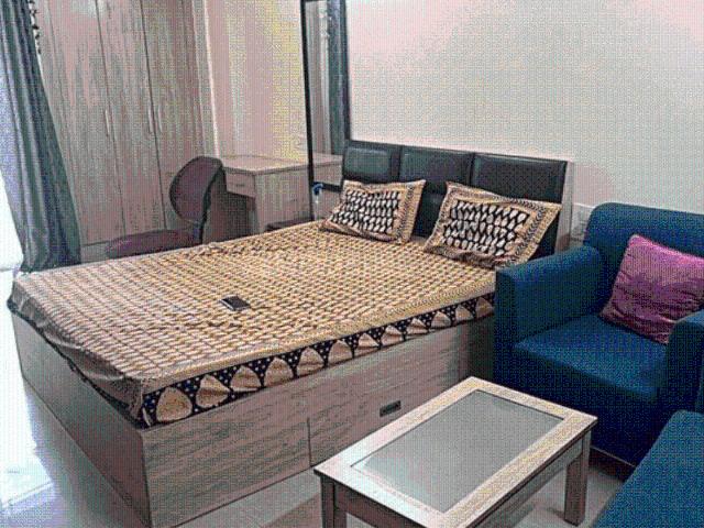 1 BHK Apartment in Sector 137 for rent Noida. The reference number is 19874181