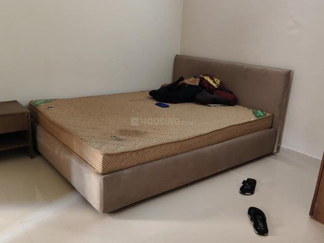1 BHK Apartment in Sector 137 for rent Noida. The reference number is 19880211