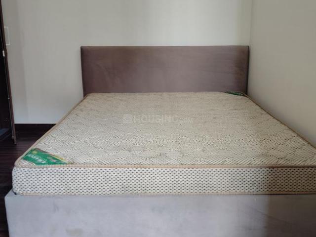 1 BHK Apartment in Sector 137 for rent Noida. The reference number is 20002276