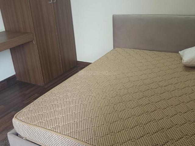 1 BHK Apartment in Sector 137 for rent Noida. The reference number is 20260706