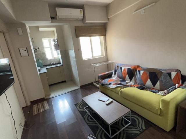 1 BHK Apartment in Sector 137 for rent Noida. The reference number is 20536351
