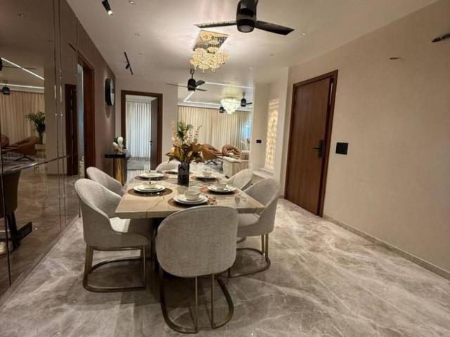 1 BHK Apartment in Sector 23 for rent Gurgaon. The reference number is 20162831