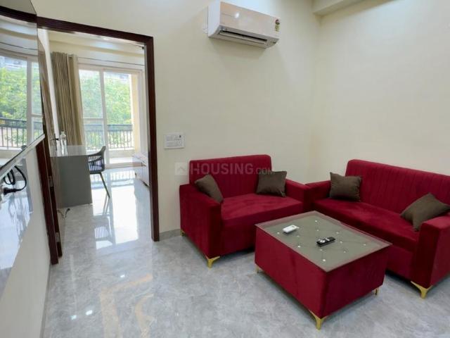 1 BHK Apartment in Sector 23A for rent Gurgaon. The reference number is 20990479