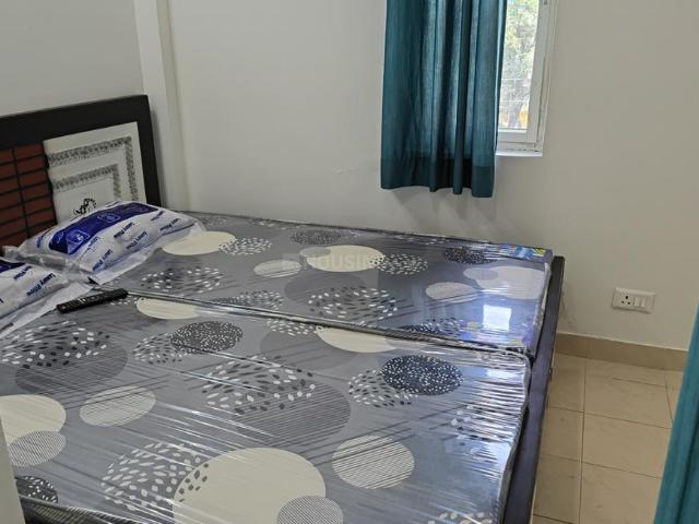 1 BHK Apartment in Sector 23B Dwarka for rent New Delhi. The reference number is 20598515