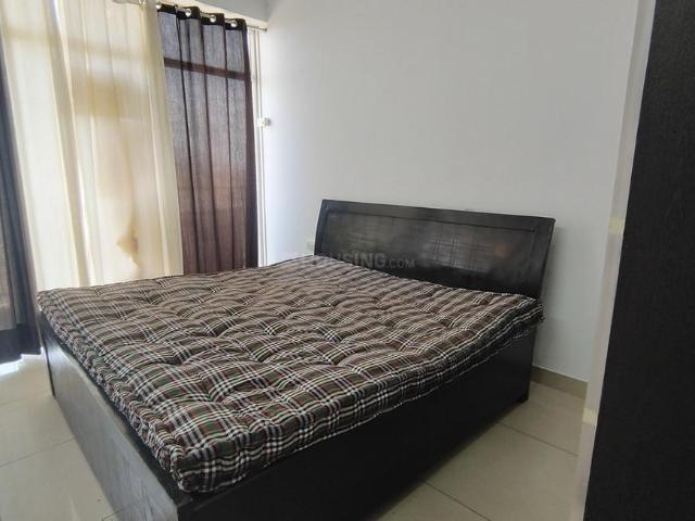 1 BHK Apartment in Sector 36 for rent Gurgaon. The reference number is 20287885