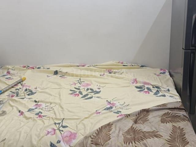1 BHK Apartment in Sector 49 for rent Chandigarh. The reference number is 18968117