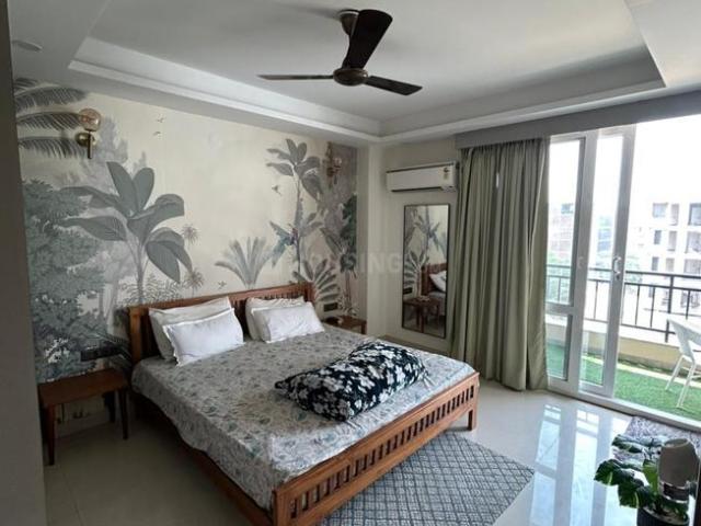 1 BHK Apartment in Sector 42 for rent Gurgaon. The reference number is 19865934