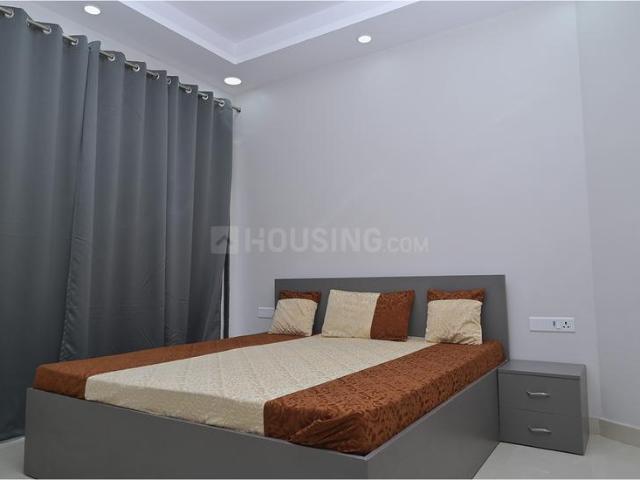 1 BHK Apartment in Sector 42 for rent Gurgaon. The reference number is 19919990
