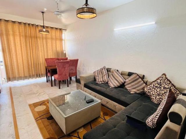 1 BHK Apartment in Sector 43 for rent Gurgaon. The reference number is 20627314