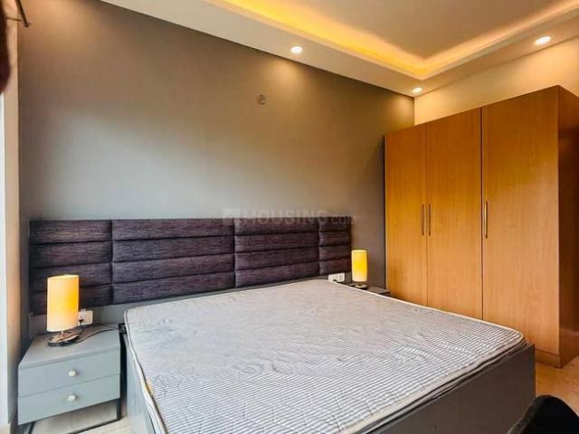 1 BHK Apartment in Sector 62 for rent Noida. The reference number is 20984861