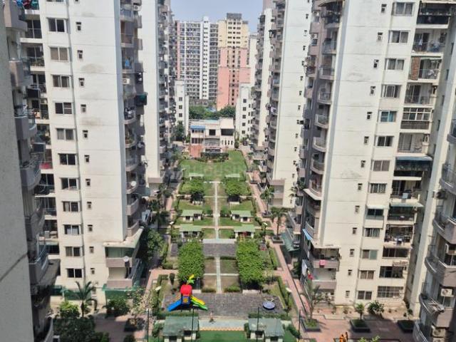 1 BHK Apartment in Sector 76 for rent Noida. The reference number is 20244928