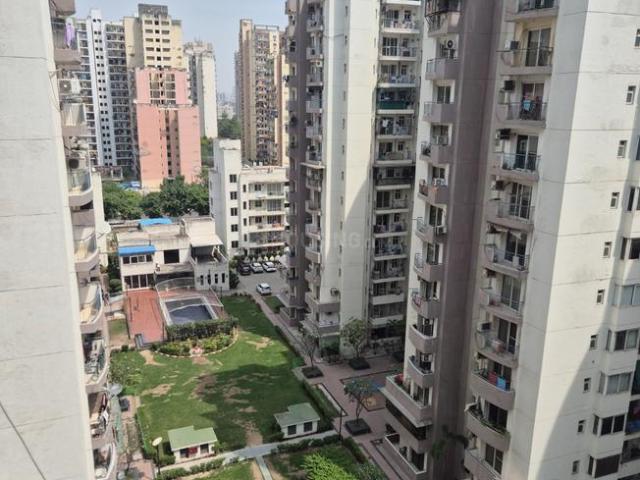 1 BHK Apartment in Sector 76 for rent Noida. The reference number is 20244938