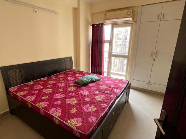 1 BHK Apartment in Sector 77 for rent Noida. The reference number is 20506182