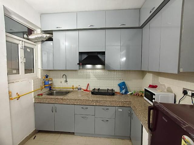 1 BHK Apartment in Sector 92 for rent Gurgaon. The reference number is 20055111