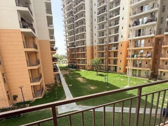 1 BHK Apartment in Sector 92 for rent Gurgaon. The reference number is 20199461
