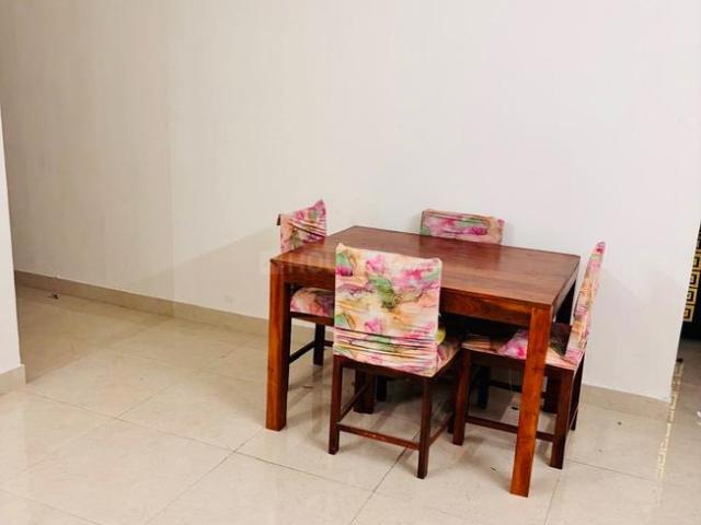 1 BHK Apartment in Sector 93 for rent Gurgaon. The reference number is 20109343