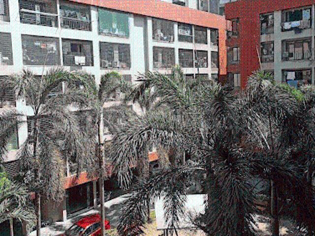 1 BHK Apartment in Palanpur for resale Surat. The reference number is 20517366