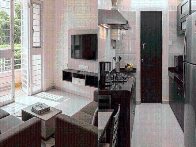 1 BHK Apartment in Pimple Saudagar for rent Pune. The reference number is 20730538
