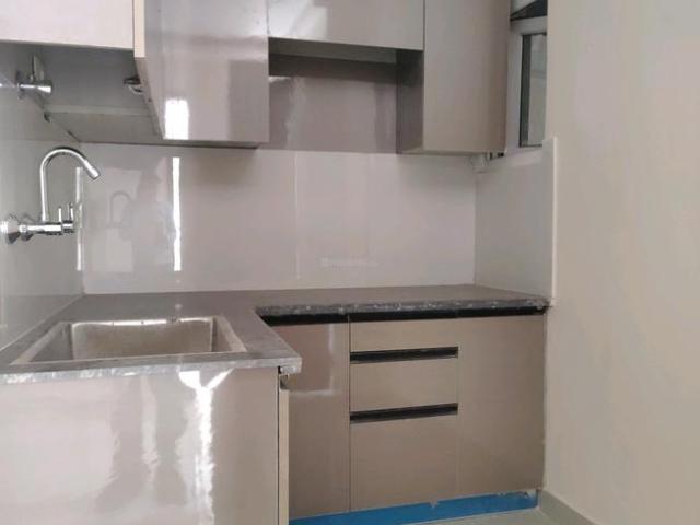 1 BHK Apartment in Rajpur Khurd Extension for rent New Delhi. The reference number is 19665619