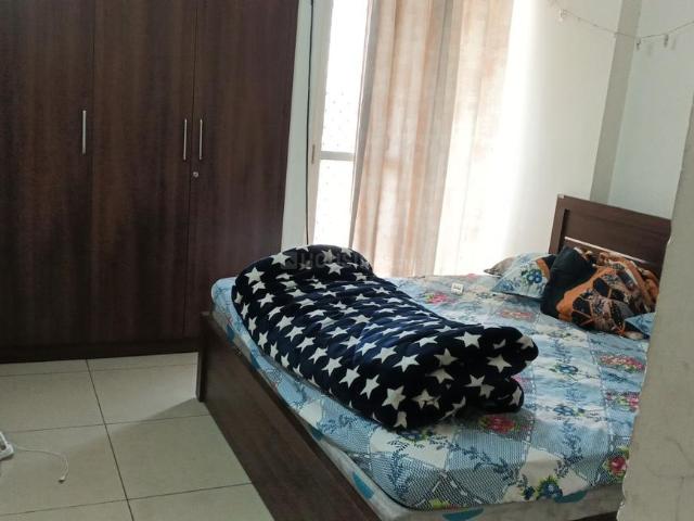 1 BHK Apartment in Wave City for rent Ghaziabad. The reference number is 20066783