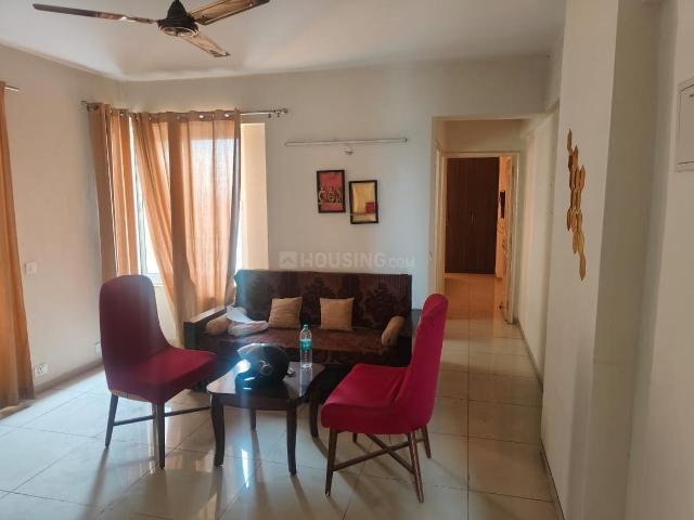 1 BHK Apartment in Wave City for rent Ghaziabad. The reference number is 20095155