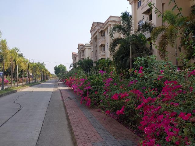 1 BHK Apartment in Wada for resale Mumbai. The reference number is 10356274