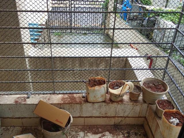 1 BHK Apartment in Ulwe for resale Navi Mumbai. The reference number is 20754458
