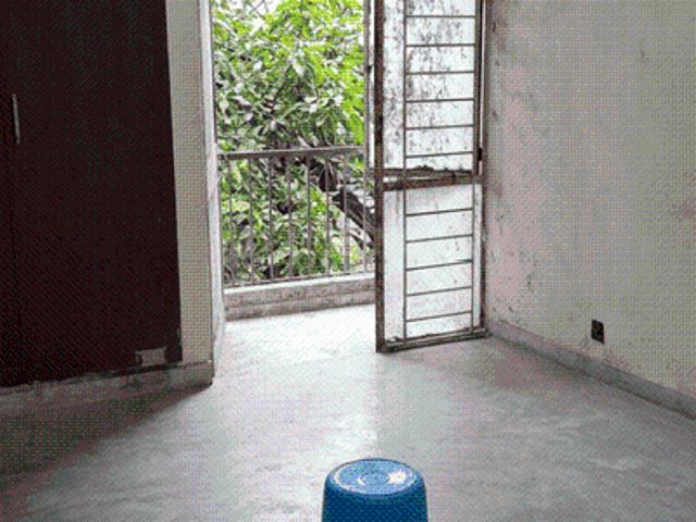 1 BHK Apartment in Vasant Kunj for resale New Delhi. The reference number is 20591216
