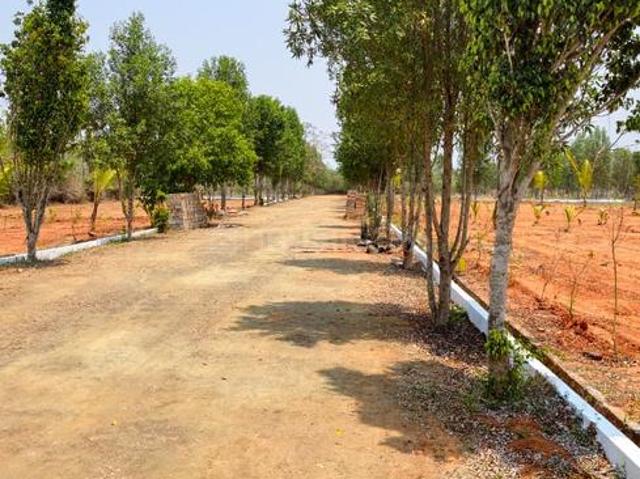 1 BHK Farm House in Diwancheruvu for resale Rajahmundry. The reference number is 20728563