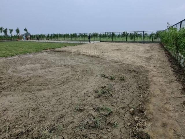 1 BHK Farm House in Jasana for resale Faridabad. The reference number is 17372111