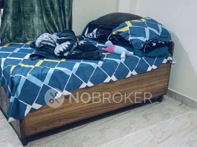 1 BHK Flat for Rent In Chhatarpur