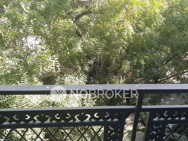 1 BHK Flat for Rent In Chittaranjan Park