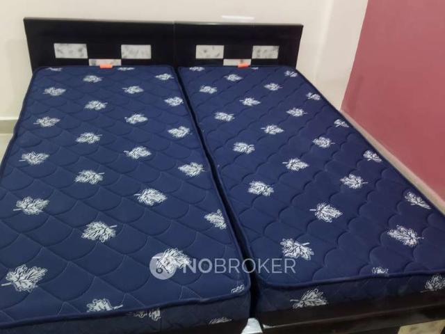1 BHK Flat for Rent In Gachibowli