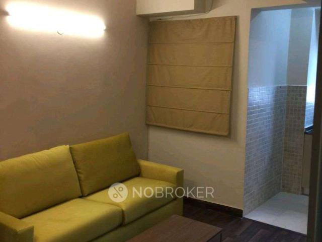 1 BHK Flat for Rent In Laxmi Nagar