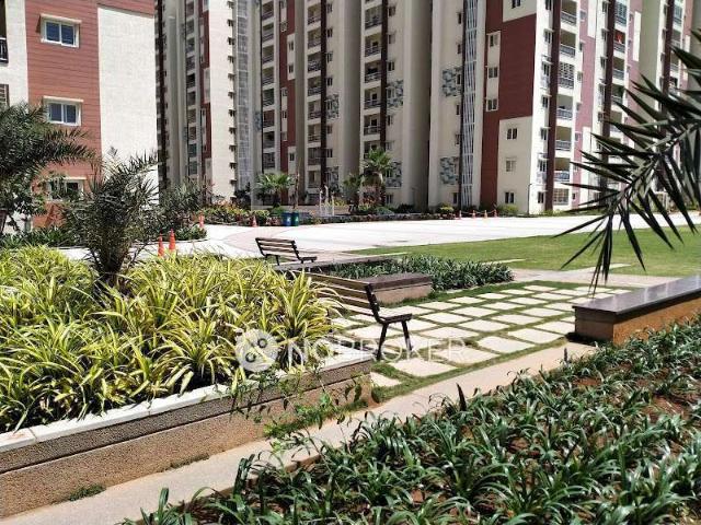1 BHK Flat In My Home Vihanga for Rent In Gachibowli
