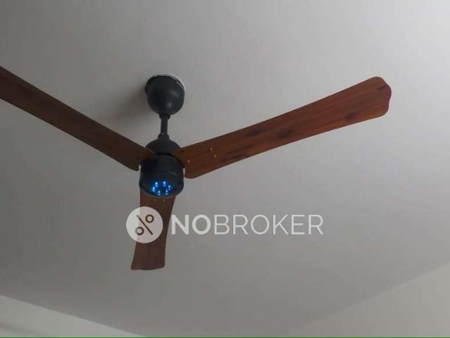 1 BHK Flat In Mahaveer Meridian for Rent In 8th Phase, J. P. Nagar