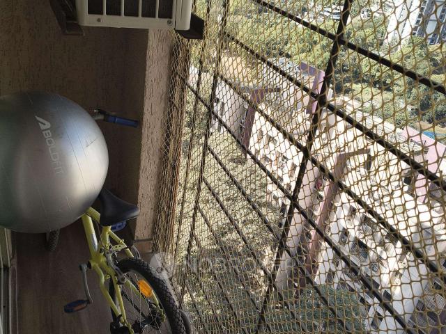1 BHK Flat In Mahavir Kalpavruksha For Sale In Thane
