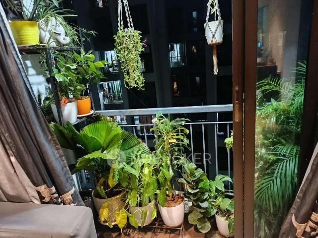 1 BHK Flat In Man Opus for Rent In Mira Road West