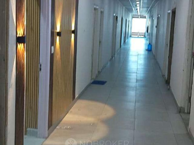 1 BHK Flat In Nx One, Techzone 4 for Rent In Techzone 4