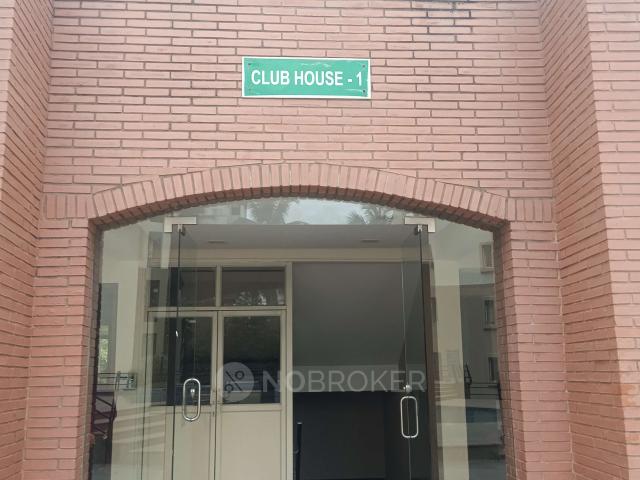 1 BHK Flat In Ncc Nagarjuna Green Ridge for Rent In Hsr Layout