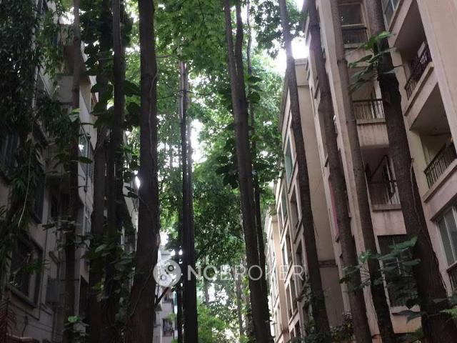 1 BHK Flat In Adarsh Nivas For Sale In Jp Nagar