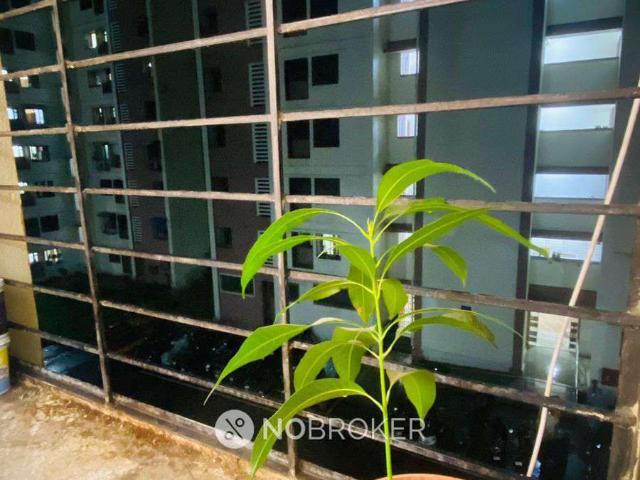 1 BHK Flat In Cidco Affordable Scheme For Sale In Kharghar