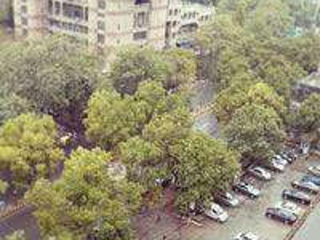 1 BHK Flat In Dda Flats For Sale In Rohini