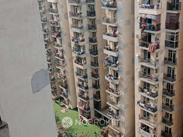 1 BHK Flat In Gaur City 4th Avenue for Rent In Noida Extension, Noida