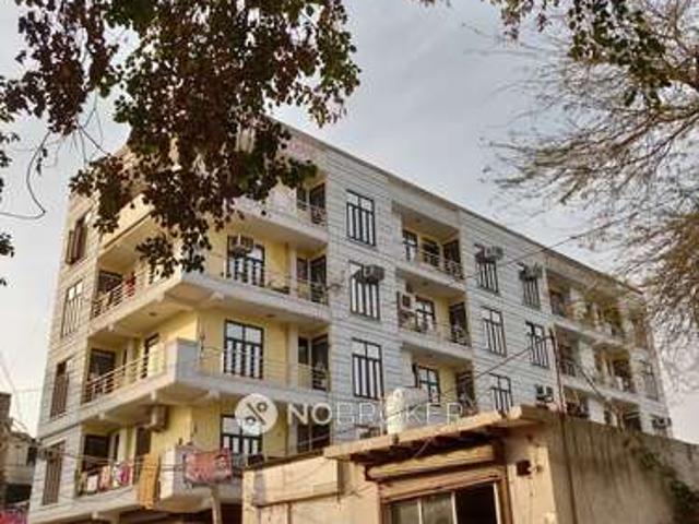 1 BHK Flat In Goldy Tyagi Apartment for Rent In Chhatarpur