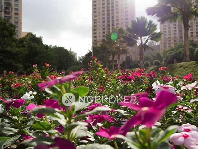 1 BHK Flat In Hiranandani Gardens for Rent In Powai
