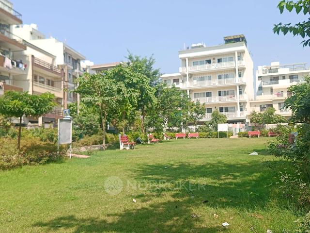 1 BHK Flat In Housing Board Colony for Rent In Sector 31