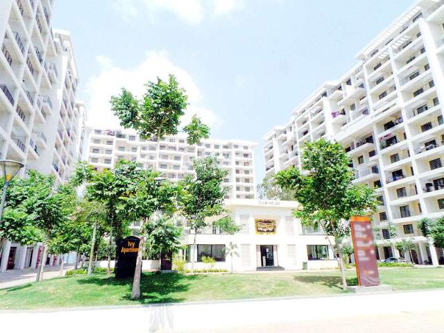 1 BHK Flat In Ivy Estate For Sale In Wagholi